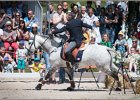 Pferd International 085